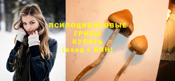 мяу мяу кристалл Новочеркасск