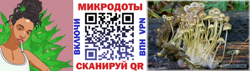 Галлюциногенные грибы GOLDEN TEACHER  Дербент 